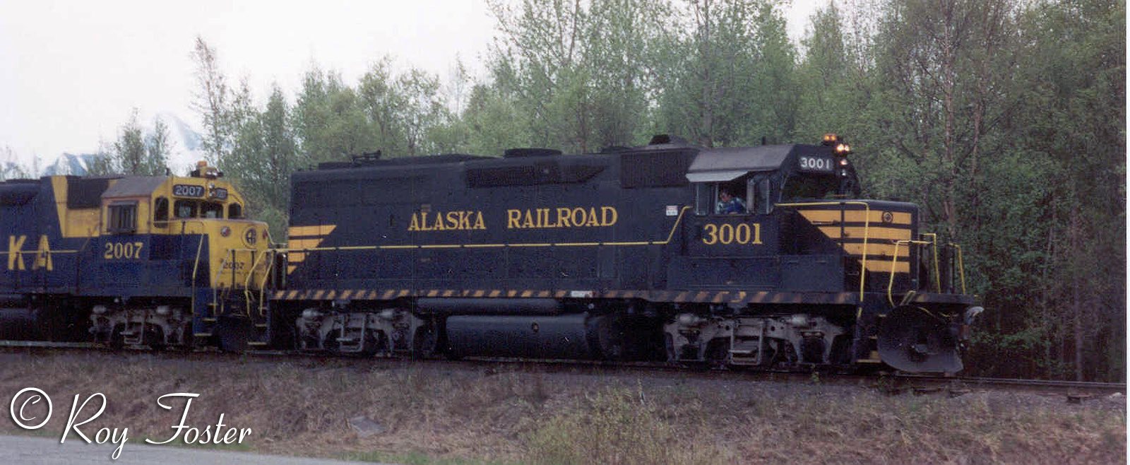 ARR 3001, Palmer Branch