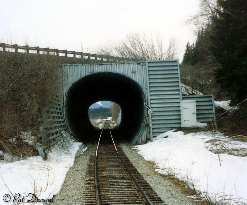 Seward Highway Underpass - Primrose