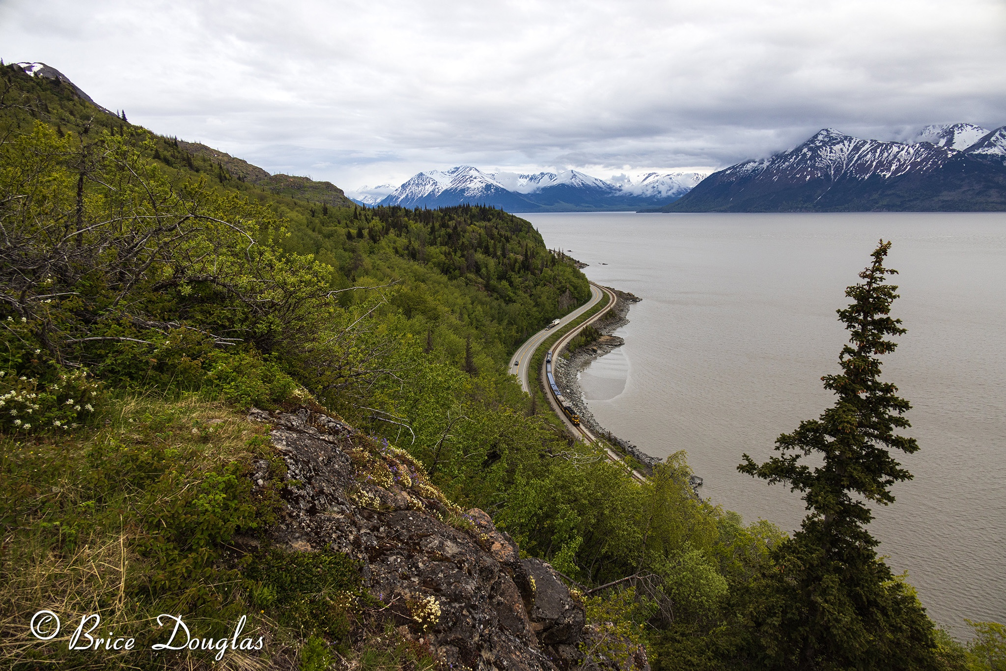 Glacier Discovery