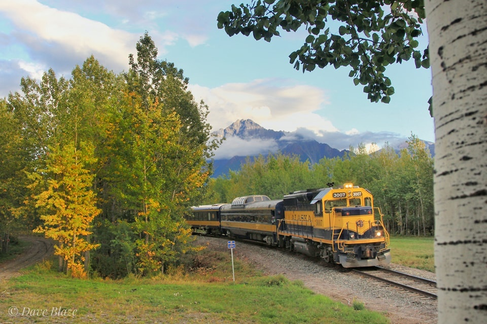 Palmer Branch Passenger