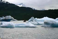 a sea of bergs