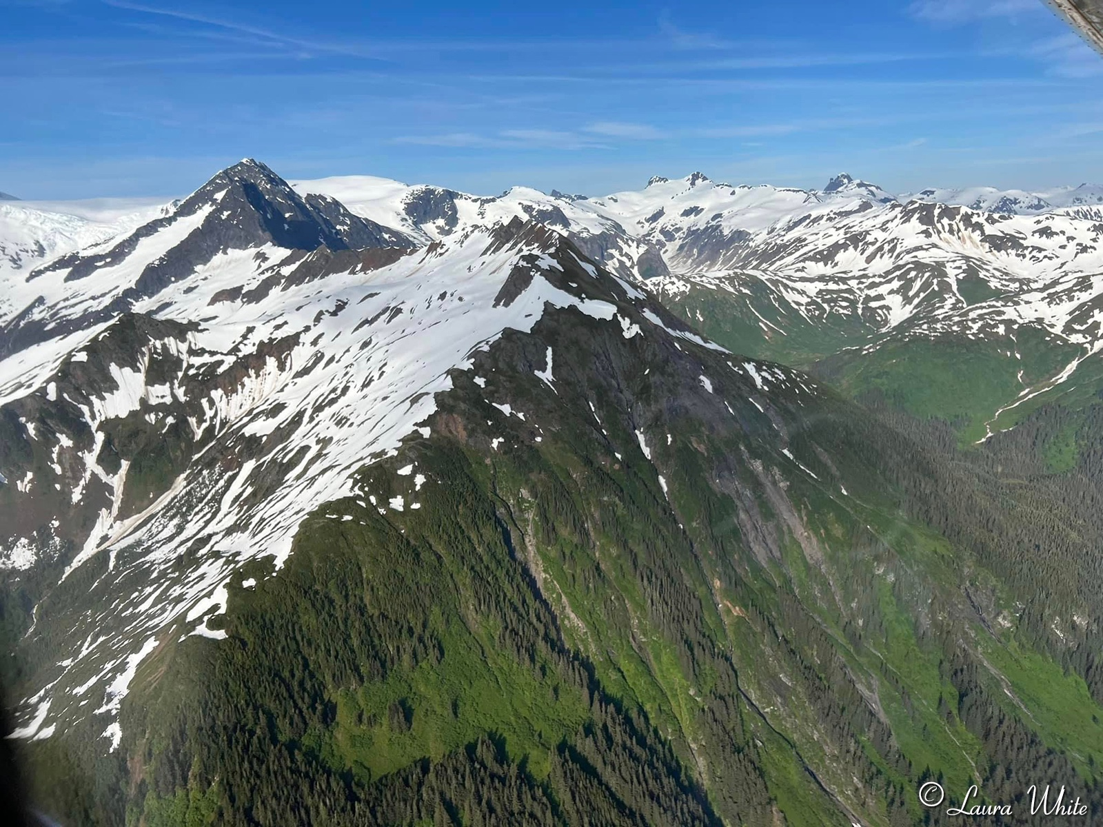 float plane sightseeing trip