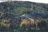 Six locomotives surrounded by fall colors