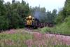 Alaskan photo...fireweed and a fireball