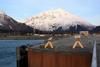 Seward pier